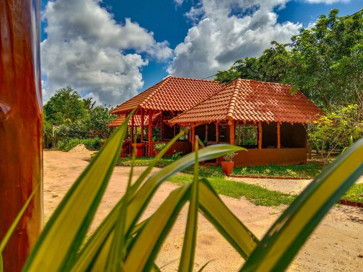 Ceylon Amigos Eco Resort Sigiriya