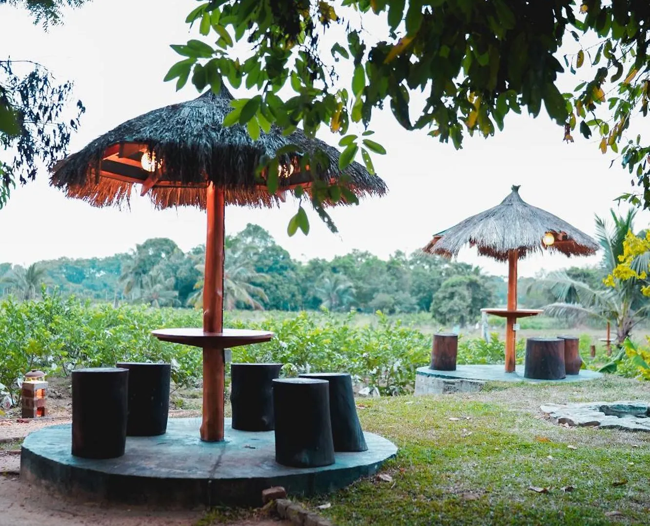 Ceylon Amigos Eco Resort Sigiriya 0*,  Šrí Lanka