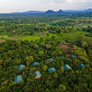 5* 度假村 Forest Edge By Marino Leisure