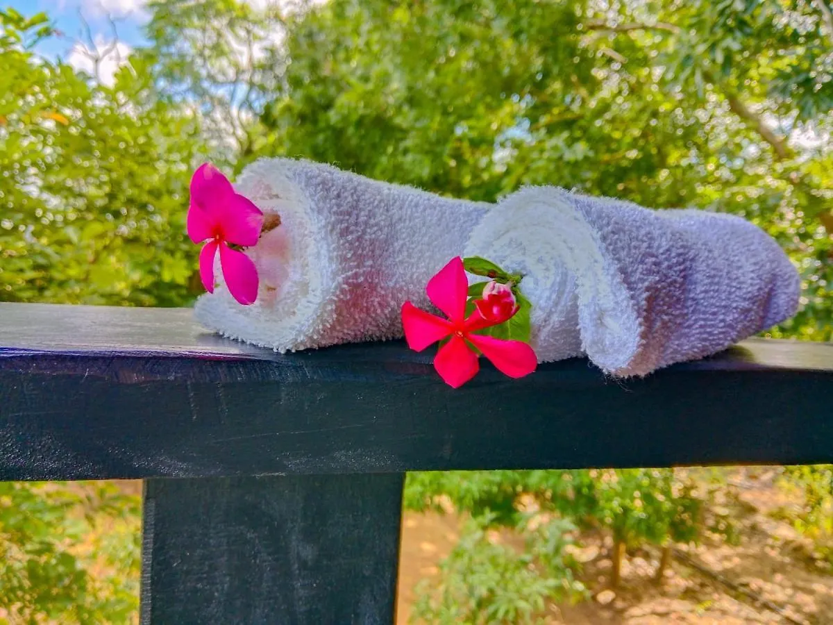 Ceylon Amigos Eco Resort Sigiriya