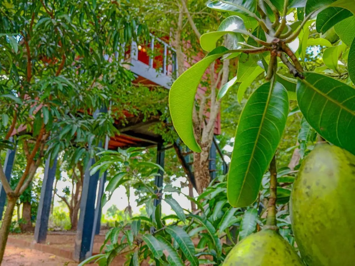 Ceylon Amigos Eco Resort Sigiriya Sri Lanka