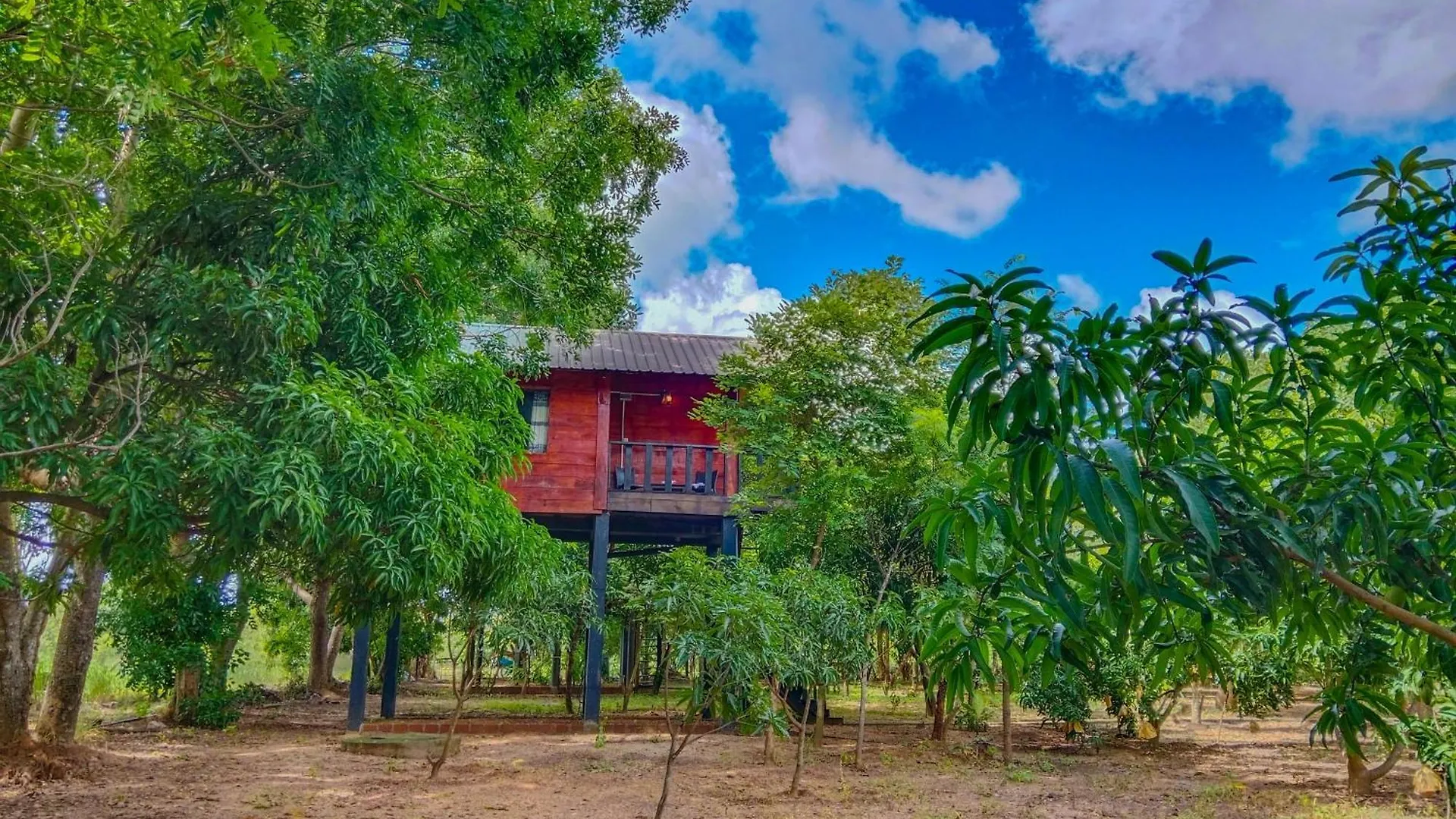 Ceylon Amigos Eco Resort Sigiriya